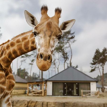 Safari Resort Beekse Bergen ฮิลวาเรนบีค ภายนอก รูปภาพ