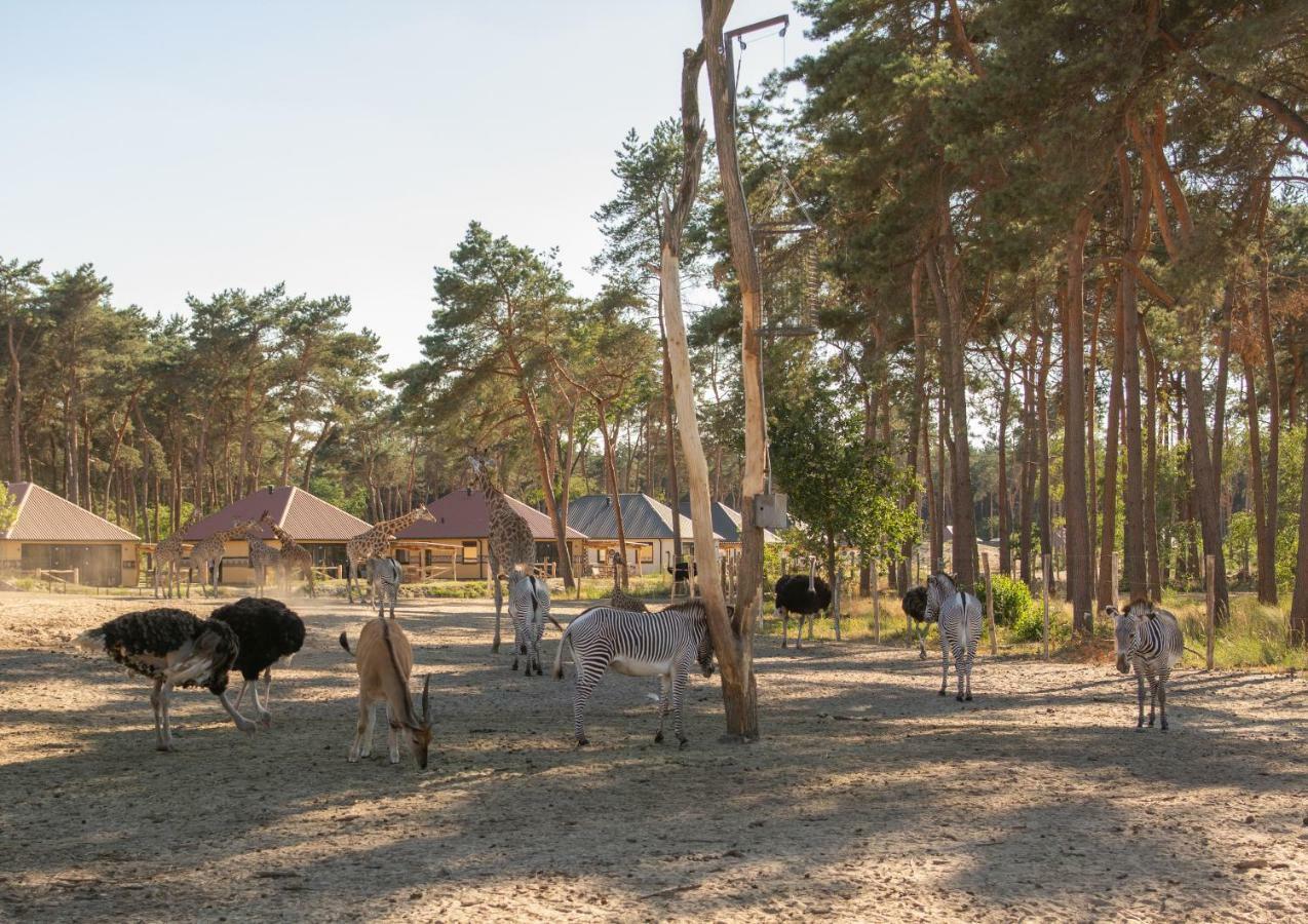 Safari Resort Beekse Bergen ฮิลวาเรนบีค ภายนอก รูปภาพ