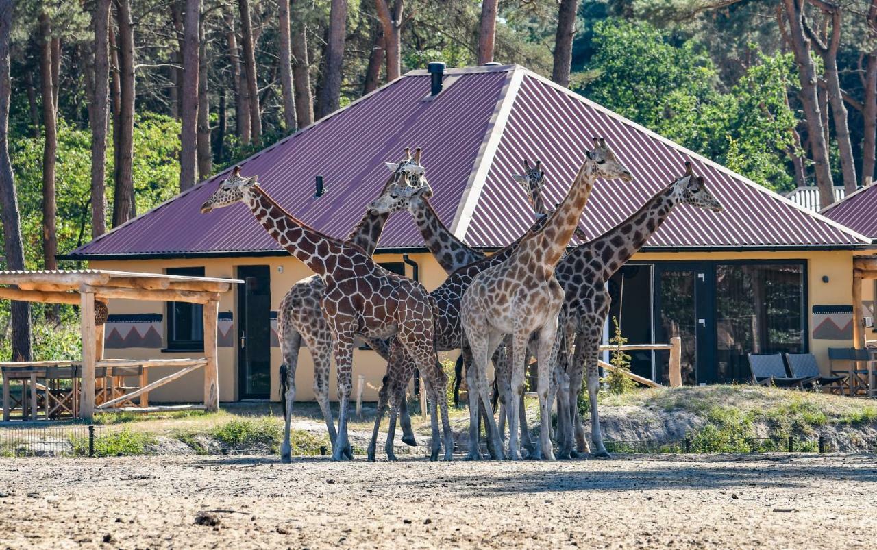 Safari Resort Beekse Bergen ฮิลวาเรนบีค ภายนอก รูปภาพ