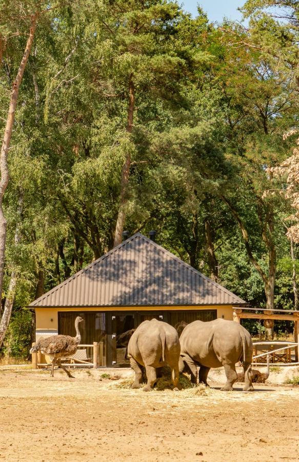 Safari Resort Beekse Bergen ฮิลวาเรนบีค ภายนอก รูปภาพ
