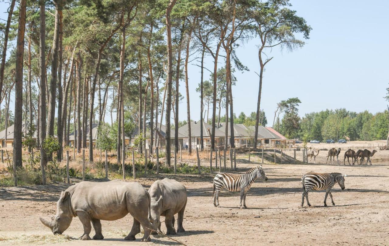 Safari Resort Beekse Bergen ฮิลวาเรนบีค ภายนอก รูปภาพ